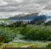 Alaska Wildlife Day Tour with Free Hotel Pickup - Accommodation Philadelphia