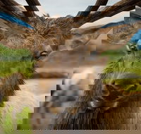 Glacier  Wildlife Discovery Tour - Accommodation Philadelphia