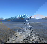 Wildlife and Glaciers with a walk in the Rainforest - Accommodation Philadelphia