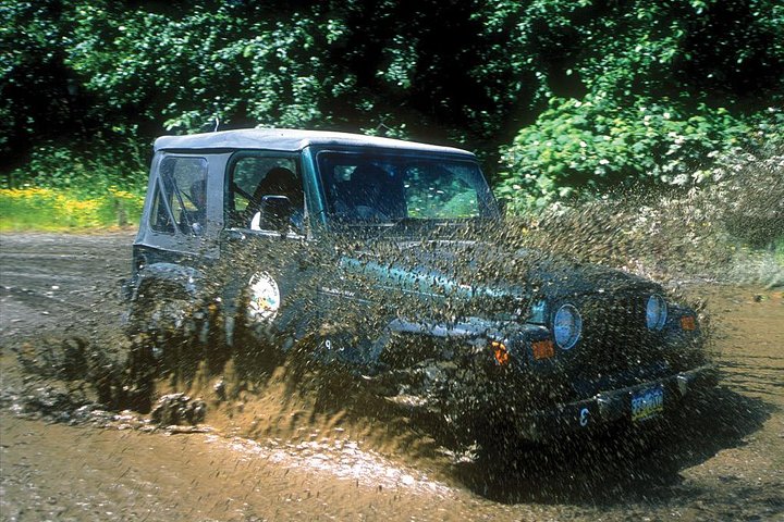 Ketchikan Jeep And Canoe Safari - thumb 1