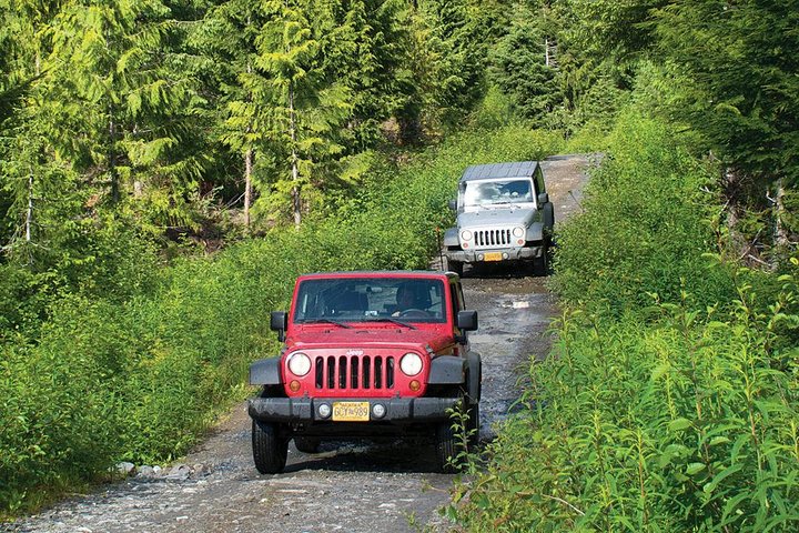 Ketchikan Jeep And Canoe Safari - thumb 5