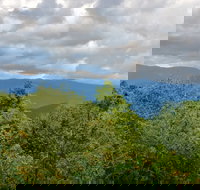 Guided Horseback Ride through Flame Azalea and Fern Forest - Accommodation Philadelphia