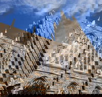 Scavenger Hunt Books and Basketball at Duke University - Accommodation Philadelphia