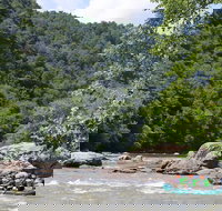 French Broad Gorge Whitewater Rafting Trip - Accommodation Philadelphia