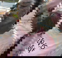 Scavenger Hunt Adventure in Pittsburgh by Crazy Dash - Accommodation Philadelphia