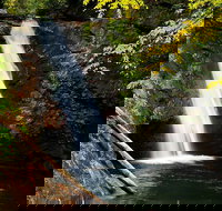 Half Day Hike - Water Falls - Accommodation Philadelphia