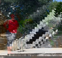 Downtown Asheville Tip-Based Sightseeing Walking Tour - Accommodation Philadelphia