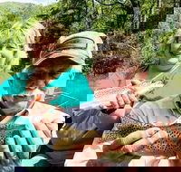 Full Day Float Trip - Accommodation Philadelphia