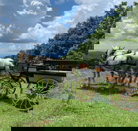 Horse and Carriage Ride through Moses H. Cone Park - Accommodation Philadelphia