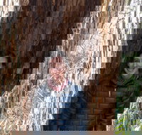 Small-Group Hiking the Best of the Blue Ridge Montains - Accommodation Philadelphia