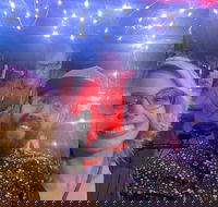 Private Pedicab Karaoke Cruising in Downtown Raleigh - Accommodation Philadelphia