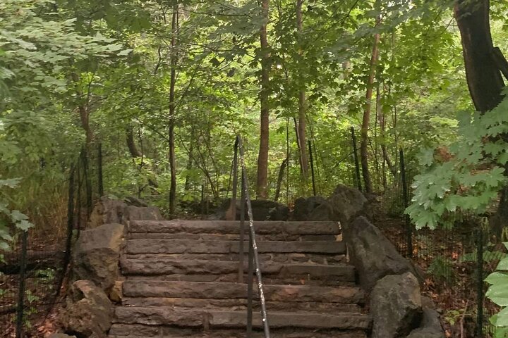 Nature Therapy And Mindfulness In Central Park - thumb 2