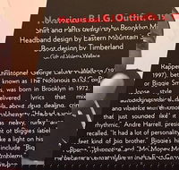 Rock and Roll Hall of Fame Admission in Cleveland - Accommodation Philadelphia