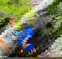 Guided Hike to 3 Amazing Waterfalls - 2.5 Hour Hiking Tour - Accommodation Philadelphia