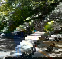 2-Hour Guided Segway Tour of Asheville - Accommodation Philadelphia