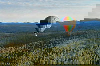 Freeman Sd Accommodation Philadelphia