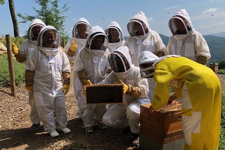 Killer Bees Farm & Honey Culinary Experience - thumb 2