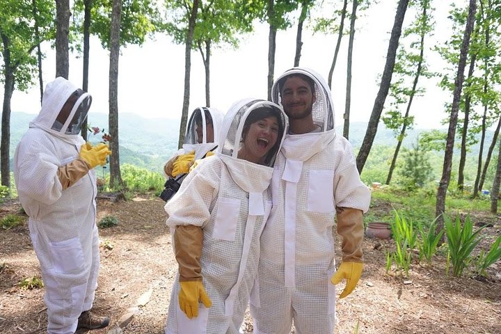 Killer Bees Farm & Honey Culinary Experience - thumb 5
