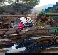 Jeep Bison Safari - Custer State Park - Accommodation Philadelphia