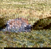 Private Tour - Badlands Delta 9 Missile Museum  Wall Drug - Accommodation Philadelphia