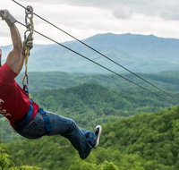 7-Line Zipline Experience in Sevierville - Accommodation Philadelphia