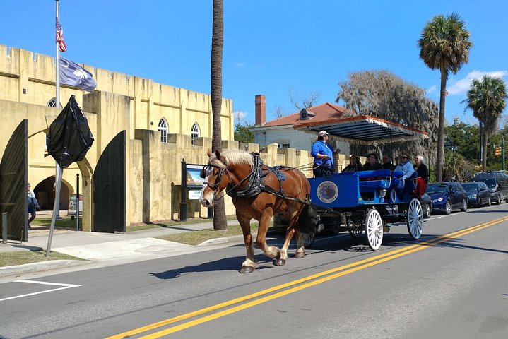 #1 Historical Horse Drawn Carriage Tour - thumb 1