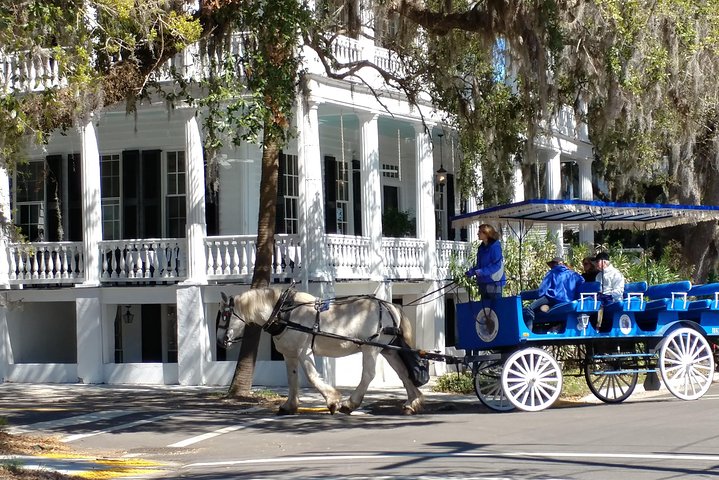 #1 Historical Horse Drawn Carriage Tour - thumb 2