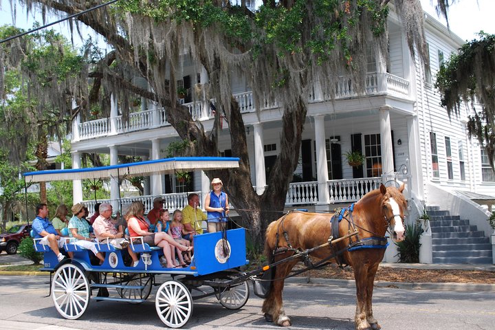 #1 Historical Horse Drawn Carriage Tour - thumb 5
