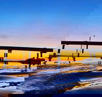 90 Minute Hilton Head Dolphin Tour - Accommodation Philadelphia