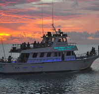 90-Minute Dolphin Watch Tour of South Padre Island - Accommodation Philadelphia