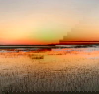 Private Hilton Head Sunset Dolphin Tour - Accommodation Philadelphia