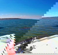 Private Hilton Head Dolphin Watching Tour with Waterfront Dining Stops - Accommodation Philadelphia