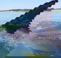 Hilton Head Jet Ski Adventure - Accommodation Philadelphia