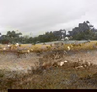 Private Badlands National Park Day Tour - Accommodation Philadelphia