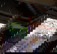 Cosmos Mystery Area Admission - Accommodation Philadelphia