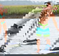 Charleston Stand-Up Paddleboard Eco Tour - Accommodation Philadelphia