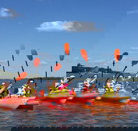 2-Hour Guided Kayak Nature Tour of Hilton Head - Accommodation Philadelphia