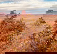 Monument Valley Backcountry Tour - Accommodation Philadelphia