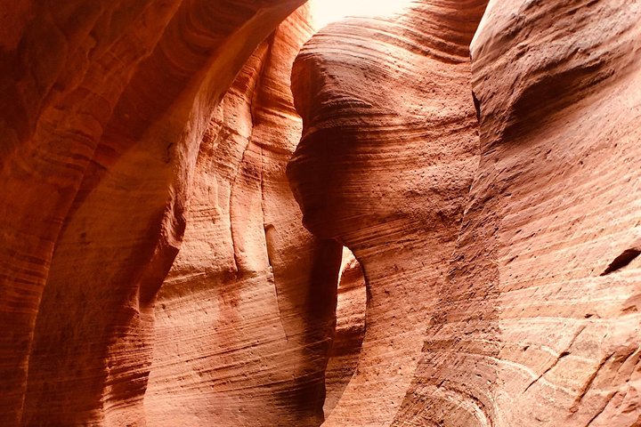 East Zion Experiences 2-Hour Slot Canyon Canyoneering UTV Tour - thumb 1