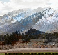 Mountain View E-Bike Experience - Accommodation Philadelphia