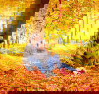 Adirondacks Full Day Boutique Private Tour - Accommodation Philadelphia