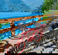 Electric Bike Rentals - Accommodation Philadelphia