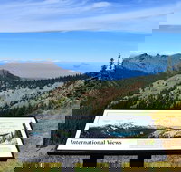 Hurricane Ridge Guided Tour in Olympic National Park - Accommodation Philadelphia