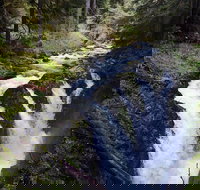 Sol Duc Falls Guided Tour in Olympic National Park - Accommodation Philadelphia