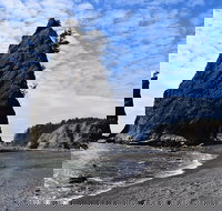 Hoh Rain Forest and Rialto Beach Guided Tour in Olympic National Park - Accommodation Philadelphia