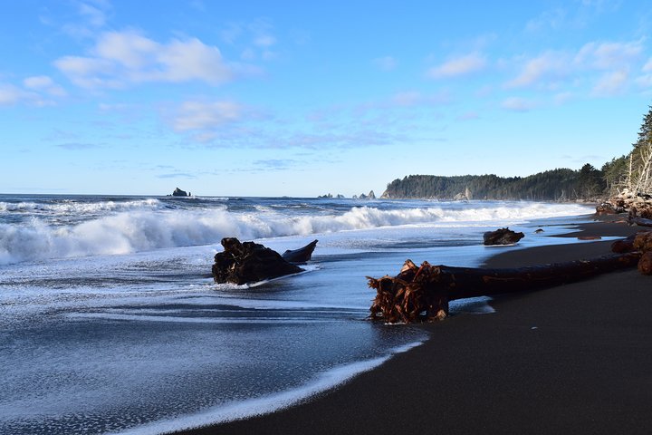 Hoh Rain Forest And Rialto Beach Guided Tour In Olympic National Park - thumb 1