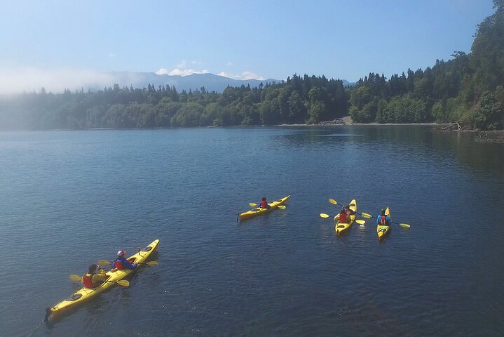 Half-Day Sea Kayaking Trip Near Olympic National Park - thumb 0