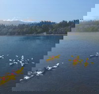 Half-Day Sea Kayaking Trip Near Olympic National Park - Accommodation Philadelphia