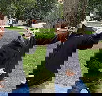 Fun City Scavenger Hunt in Madison by Wacky Walks - Accommodation Philadelphia