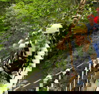 New River Gorge Zip Line Canopy Tour - Accommodation Philadelphia